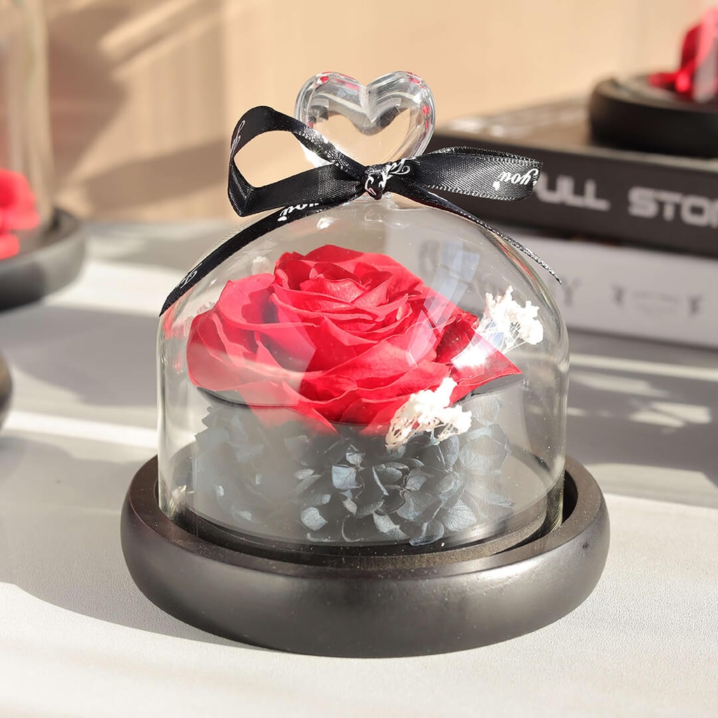 Preserved Flower FLW-384