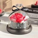 Preserved Flower FLW-384