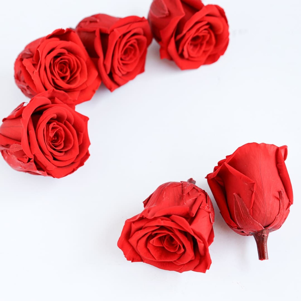 Preserved Flower FLW-389-A