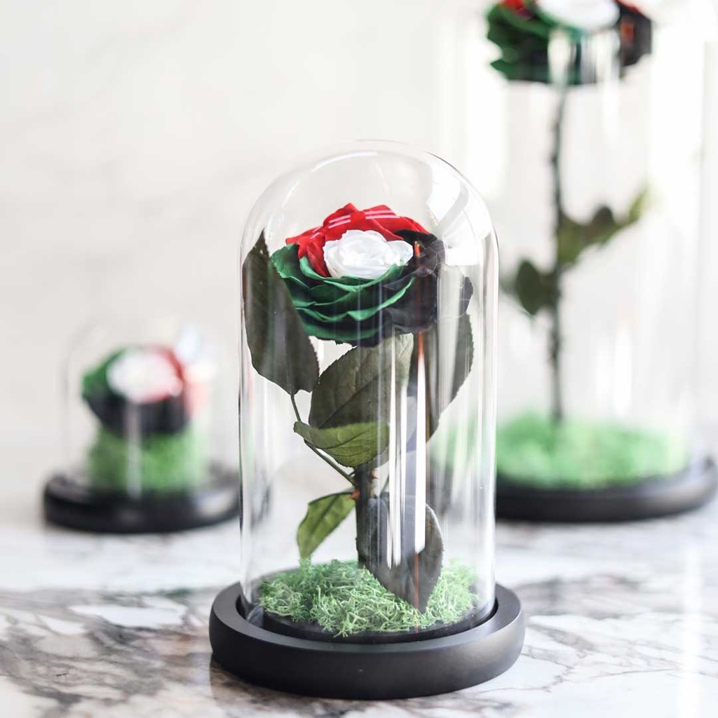 Preserved Flower UAE-33