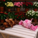 Decoration Staff DC-04