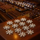 Crystal Accessories DC-53