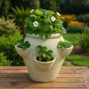 Jarre Strawberry pot D40 H40