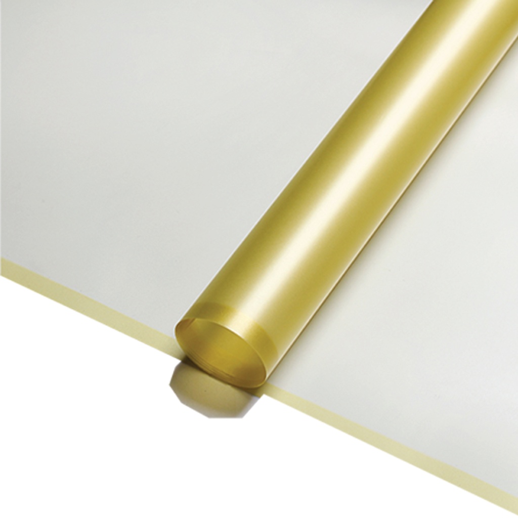 Gift Paper - Color Edge