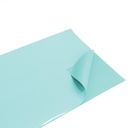 Gift Paper - Gramado