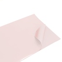 Gift Paper - Gramado