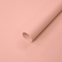 Gift Paper - Economica