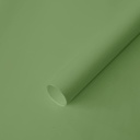 Gift Paper - Economica