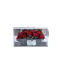 FLW-413.webp
