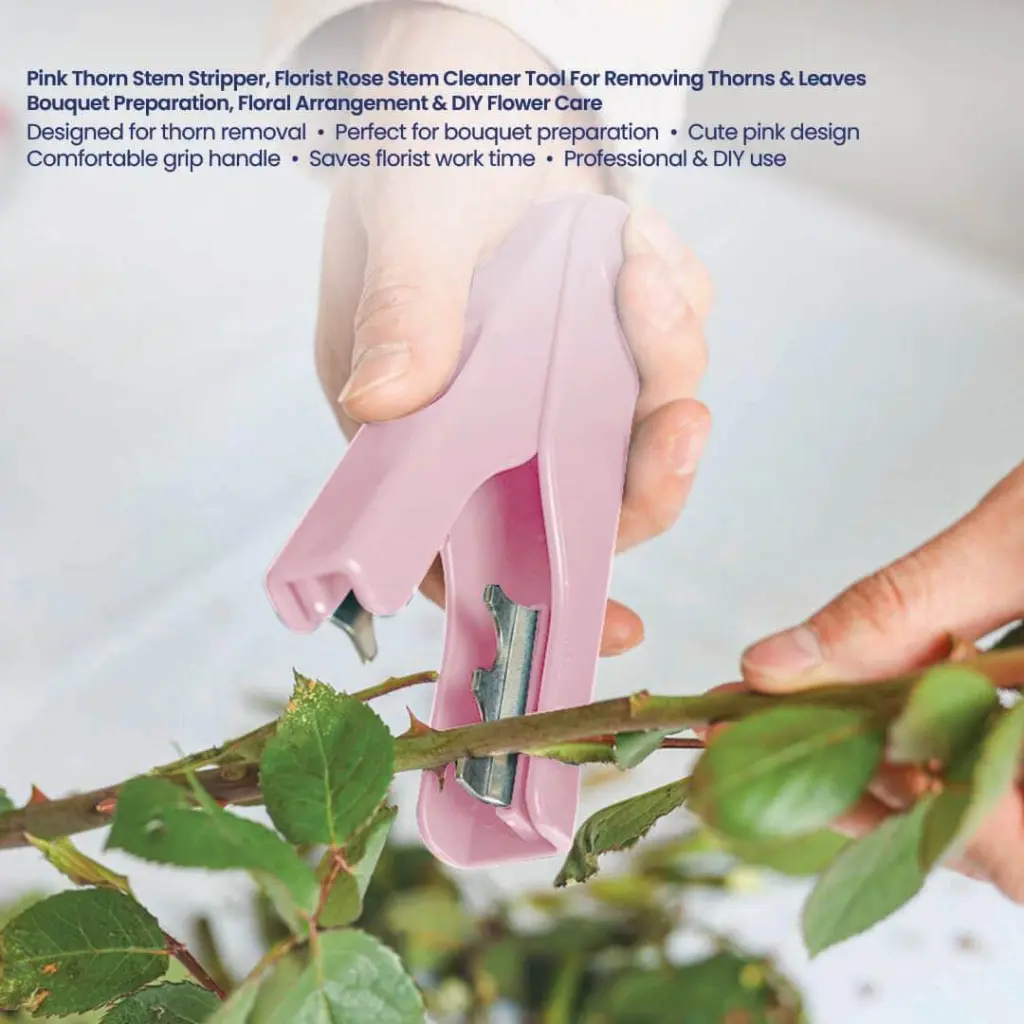 TL-1019-B Thorn Stem Stripper PINK 4.webp