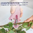 TL-1019-B Thorn Stem Stripper PINK 4.webp
