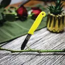 TL-1011 FLORIST KNIFE 2.webp