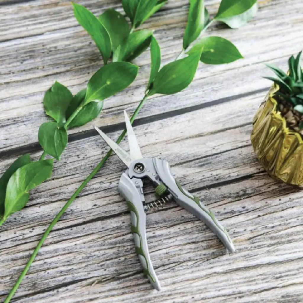 TL-1016 FLOWER SNIP 2.webp