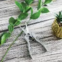 TL-1016 FLOWER SNIP 2.webp