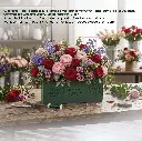 IDEAL FOAM 4.webp