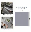 TRANSLUCENT SILVER 4.webp