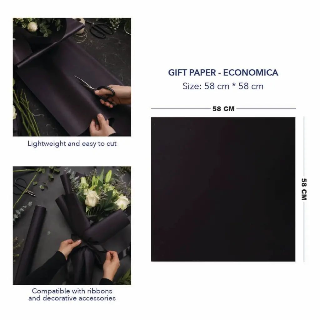 ECONOMICA BLACK 4.webp