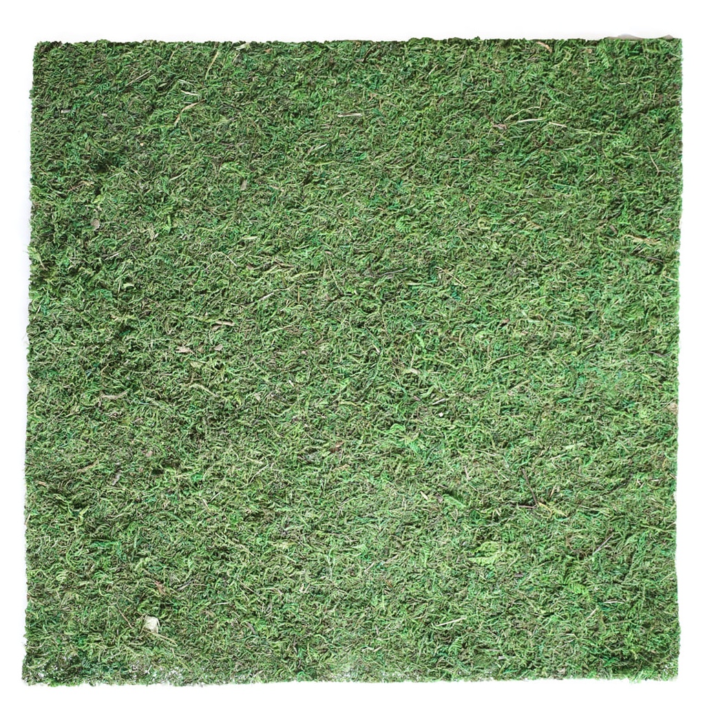 Artificial Moss Mat - Green