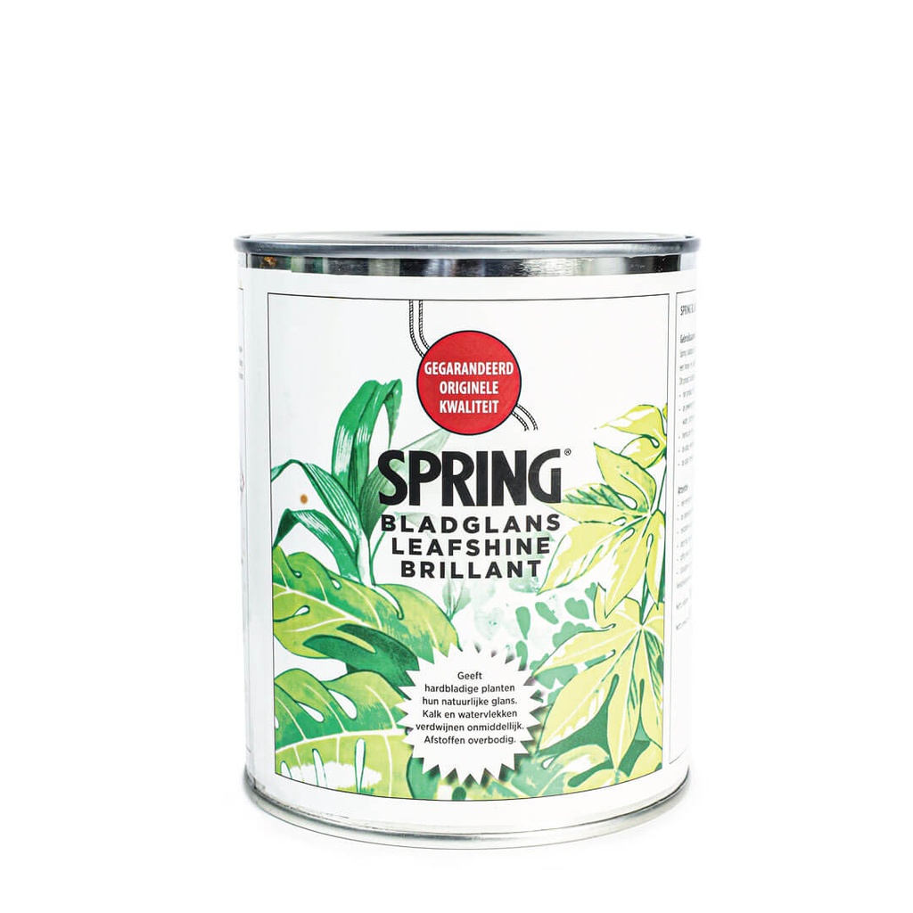 SPRING LEAFSHINE