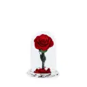 Preserve Flower Crystal Dome Rose Decoration