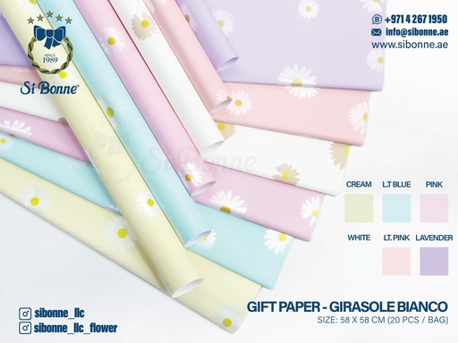 Gift Paper - Clear With Color Edge