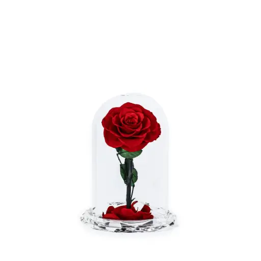 Preserve Flower Crystal Dome Rose Decoration
