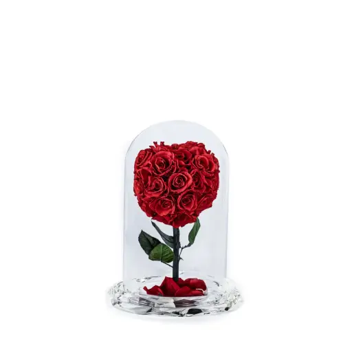 Preserve Flower Crystal Dome Heart Decoration