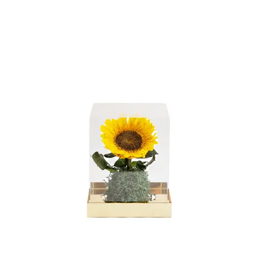 [FLW-411] Preserve Flower Sunflower