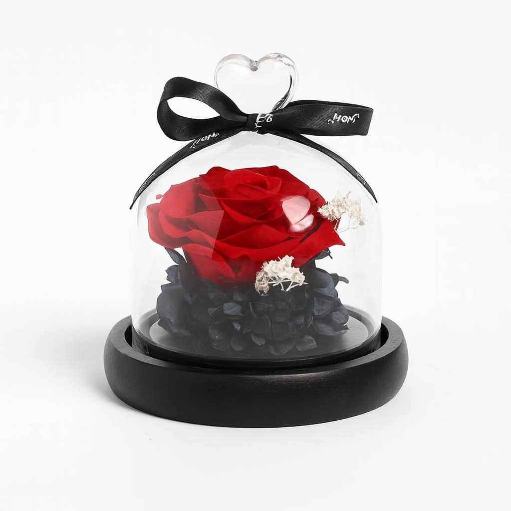 Preserved Flower FLW-384