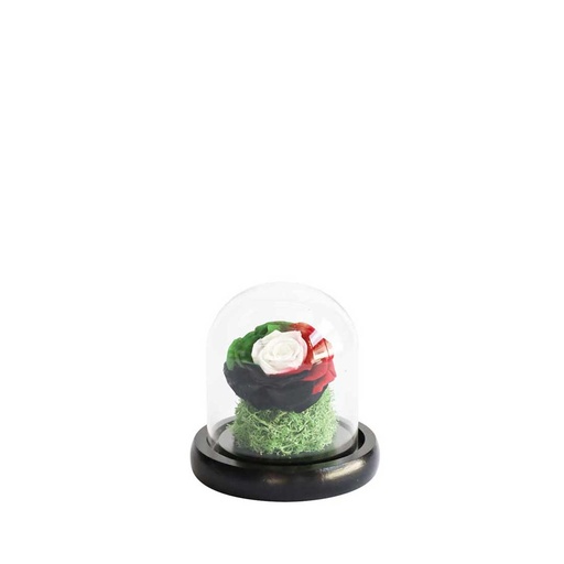 [UAE-32] Preserved Flower UAE-32