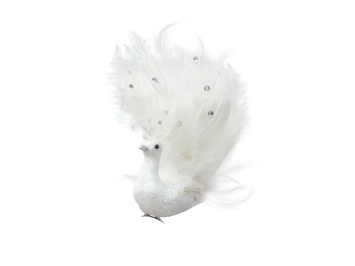 [05-011-39266] Bird FL-47
