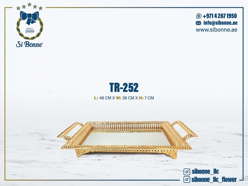 [TR-252] Metal Tray TR-252