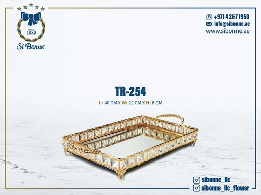 [TR-254] Metal Tray TR-254