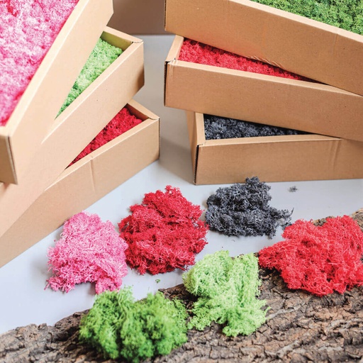 Natural Moss